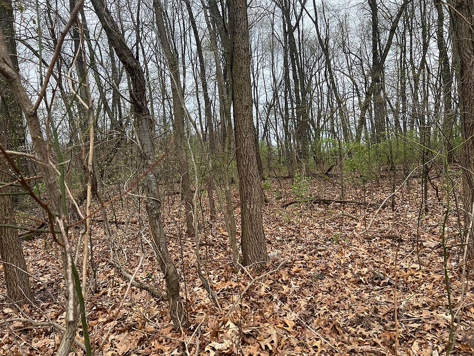 2nd image of Crystal Springs St
