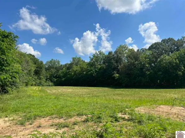 7875B Old Hinkleville Rd, West Paducah, KY 42086