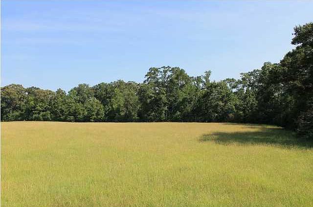 2nd image of 4694 Fort Dale Rd