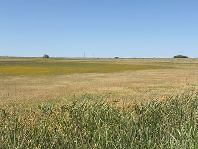 County Road 150, Floydada, TX, 79235