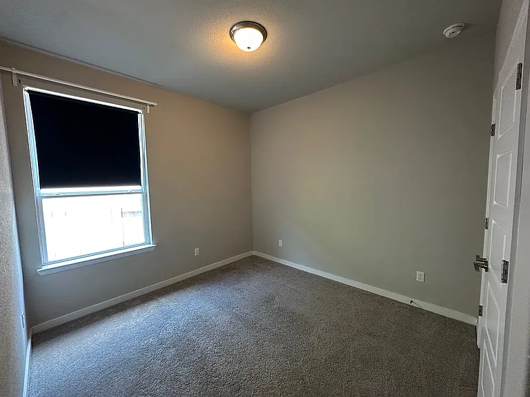 441 Saturnia Dr — Photo 16