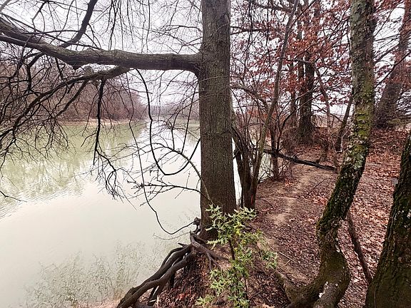 5th image of 181 Clay Rd