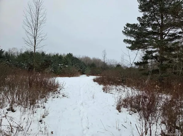 0 Hadley Rd, Decker, MI 48426