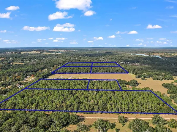 Quale Grove Rd Lot 600, Eustis, FL 32736