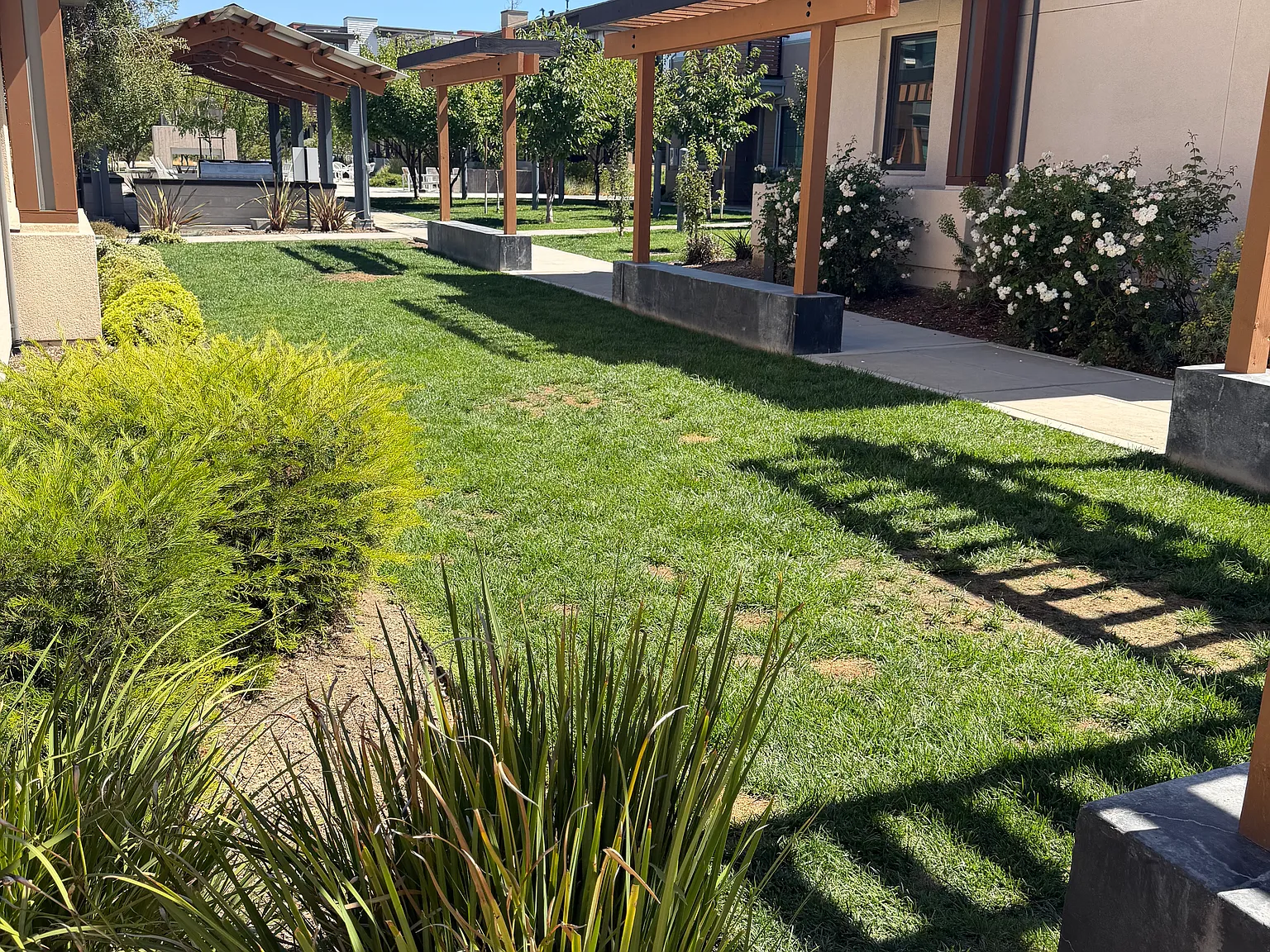 3 bed, 3.5 bath, 2089 sqft, $6,500 — Photo 1