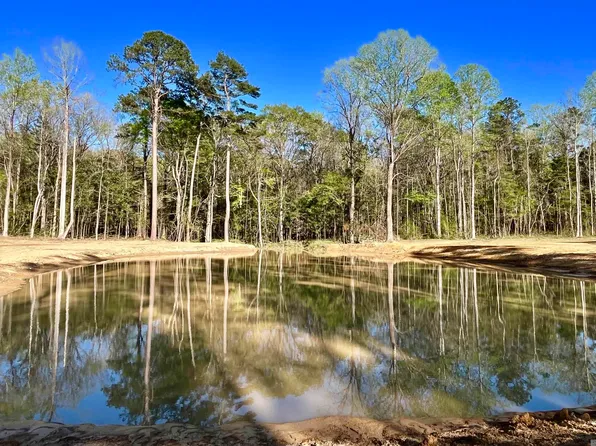 25 Lillian Ln, Ethel, LA 70730