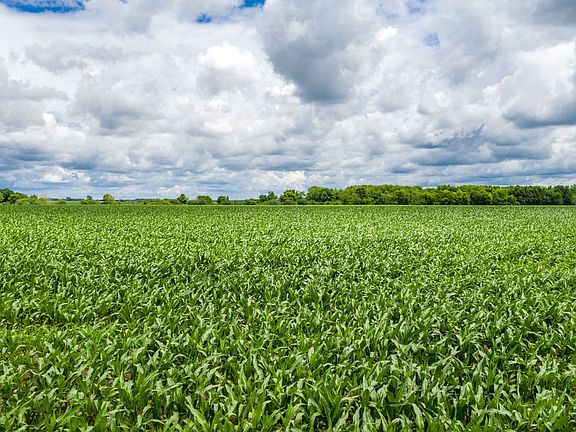 Dodge County, Minnesota Farmland For Sale