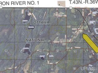 Tbd E Salo Rd, Iron River, MI 49935
