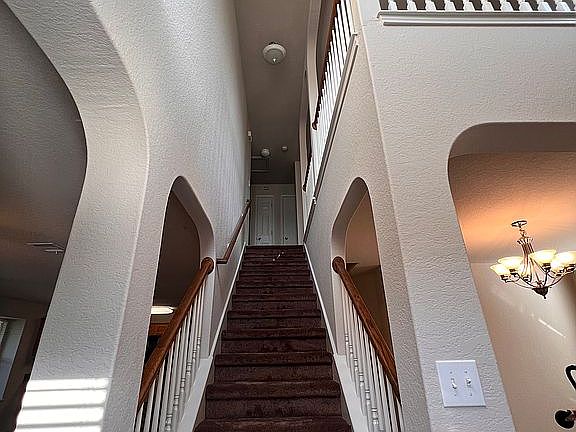 2nd image of 228 Ibis Falls Dr