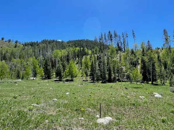 29435 Owl Drive, Clark, CO 80428