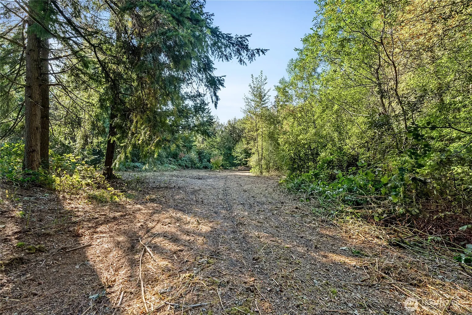 3001 104th Avenue SW photo 1
