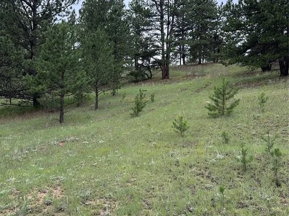 421 Pinewood Rd, Florissant, CO 80816