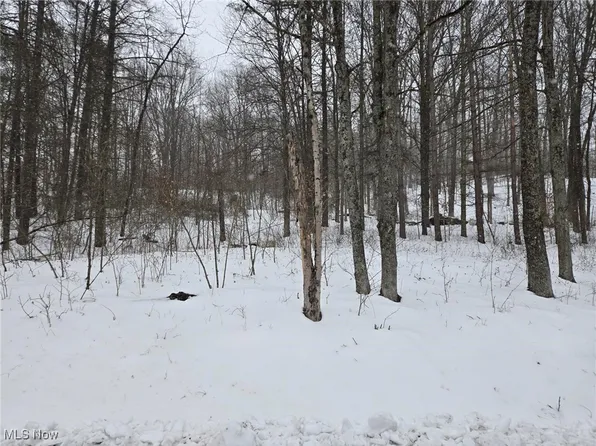 Scott Rd, Stockport, OH 43787