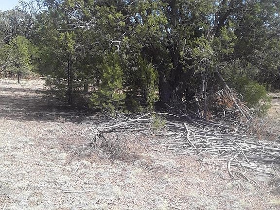 4th image of 31690 W Dulce Ln