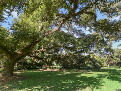 LOT Ab Us Hwy #2-61, Saint Francisville, LA, 70775