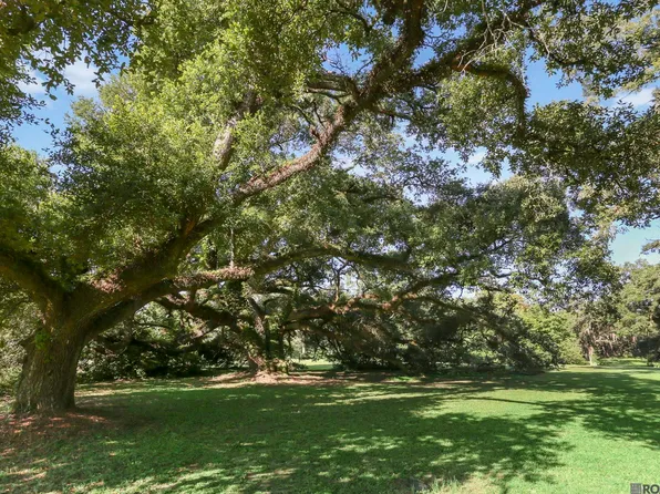 LOT Ab Us Hwy #2-61, Saint Francisville, LA 70775