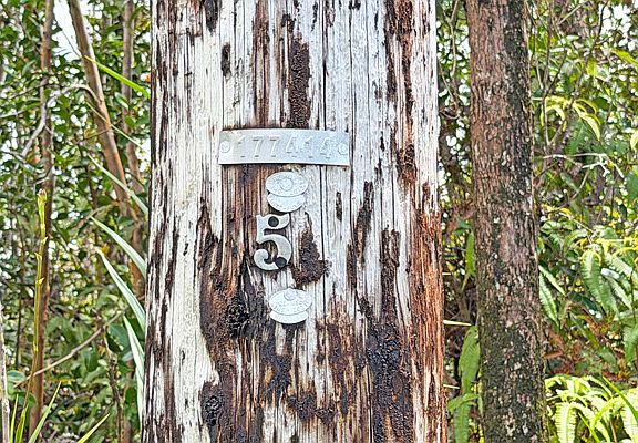 4th image of Ohialani Rd Lot 57