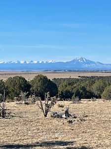 39949 Pinon Canyon Rd, Model, CO, 81059