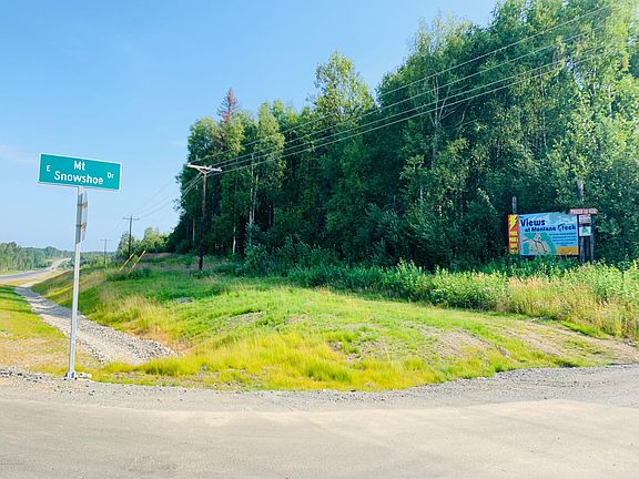 4th image of 102 E Mount Snowshoe Dr