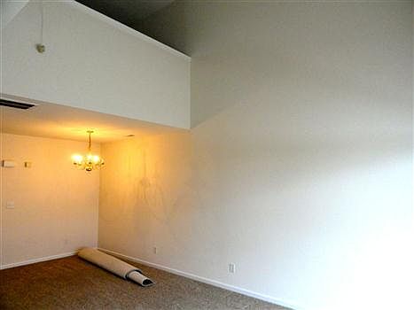 4th image of 7856 Paper Birch Dr