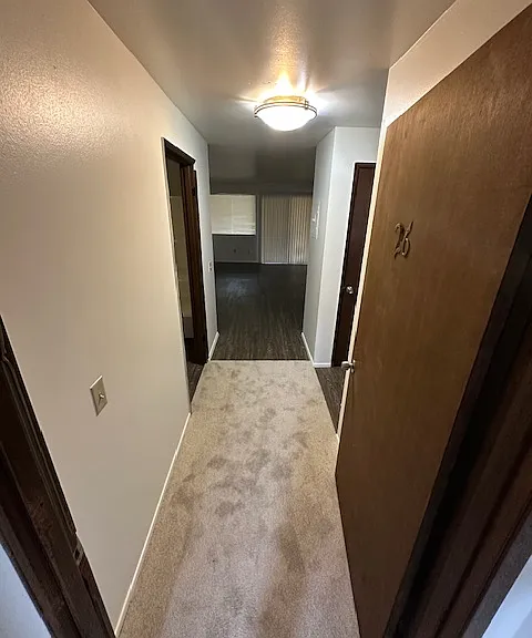 Newport Manor — Photo 3