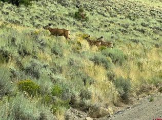 1440 Blue Mesa Dr, Powderhorn, CO 81243