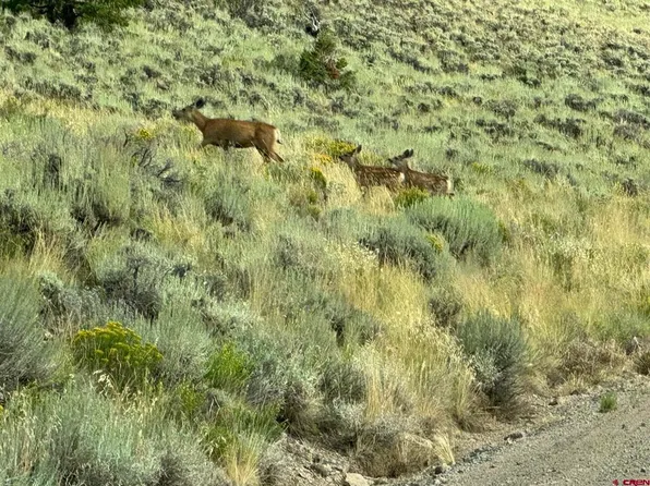 1440 Blue Mesa Drive, Powderhorn, CO 81243