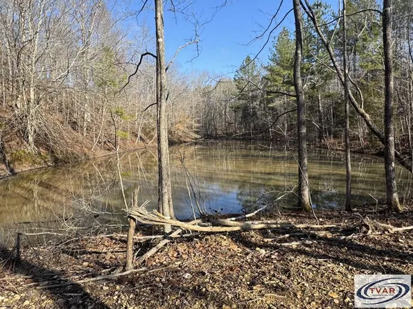 0 Ditney Rd, Bumpus Mills, TN 37028