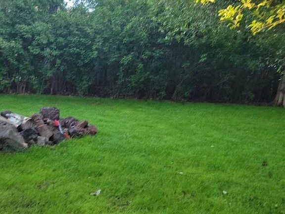 2nd image of 1317 S McCoy Dr