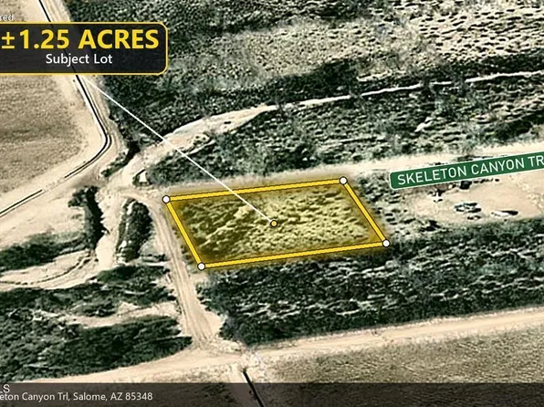 68439 Skeleton Canyon Trail #2, Salome, AZ 85348