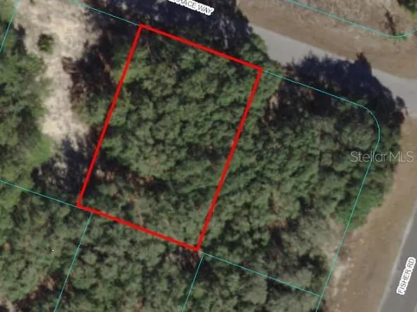 Fisher Ter Lot 5, Ocklawaha, FL 32179