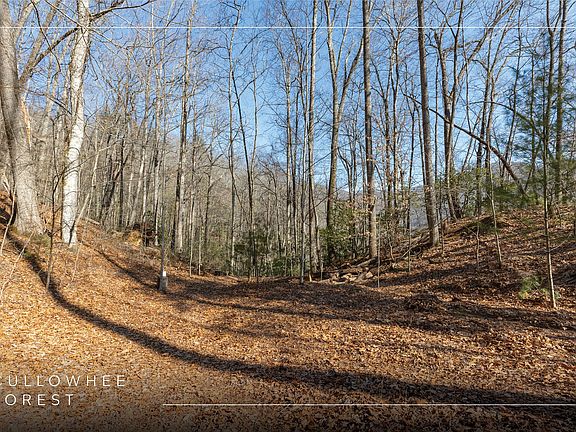4th image of 53/65B Cullowhee Forest Road