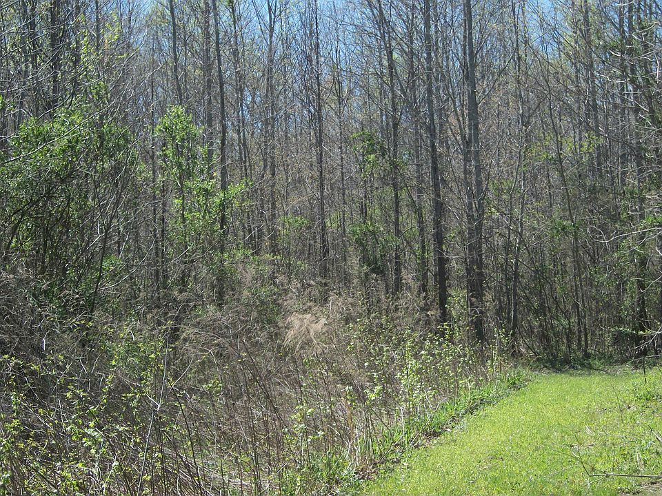 2nd image of 243 Diamond Rd