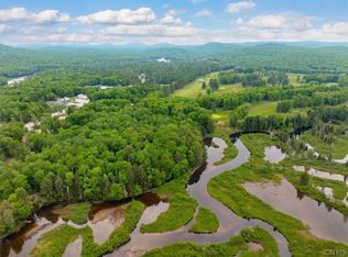 287 Pine St Lot 33, Old Forge, NY 13420