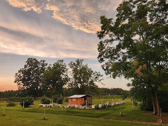 4th image of 30497 Hixson Rd