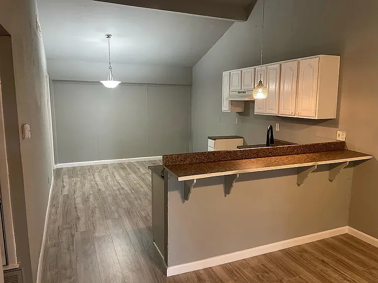 6605 Spring Lark Dr — Photo 3