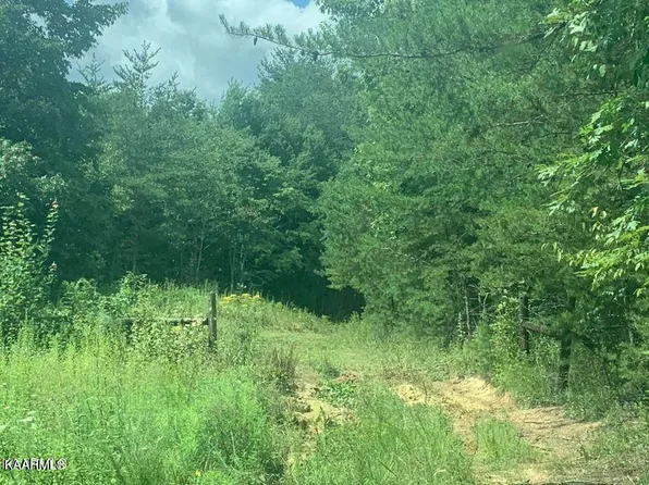 650 Glades Rd, Sunbright, TN 37872