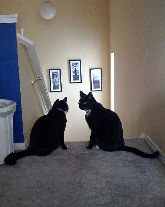 2nd image of 2629 SW Nevada St APT 102