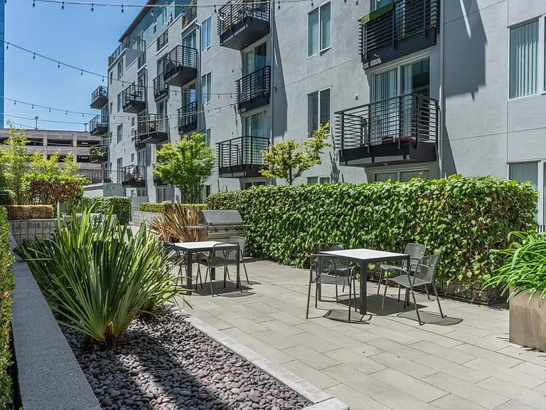 Domain Oakland — Photo 31