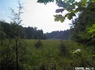 0 Christman Rd, Cold Brook, NY 13324