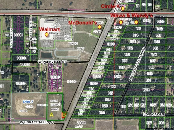 1652 N Lecanto Hwy, Lecanto, FL 34461