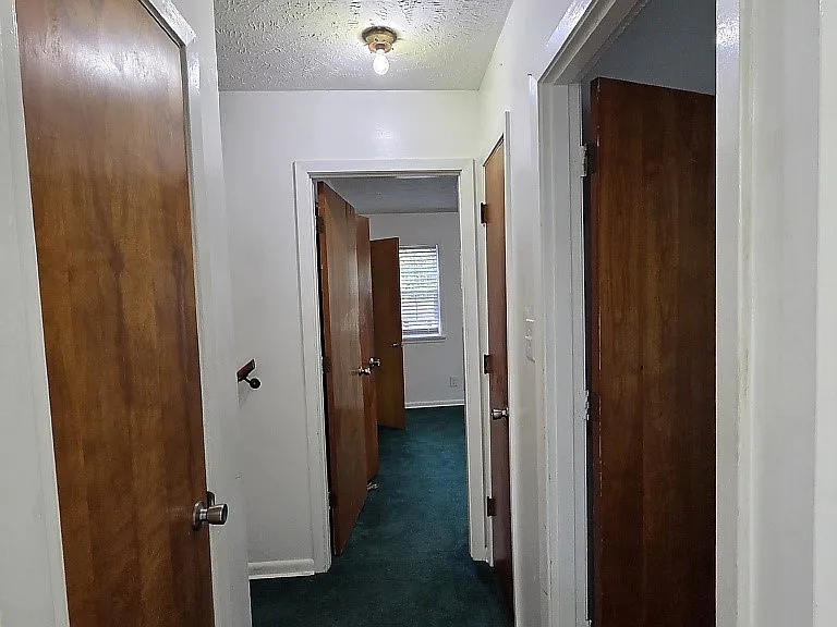 2532 Sourwood Dr — Photo 16