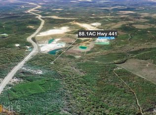 0 Highway 441, Irwinton, GA 31042