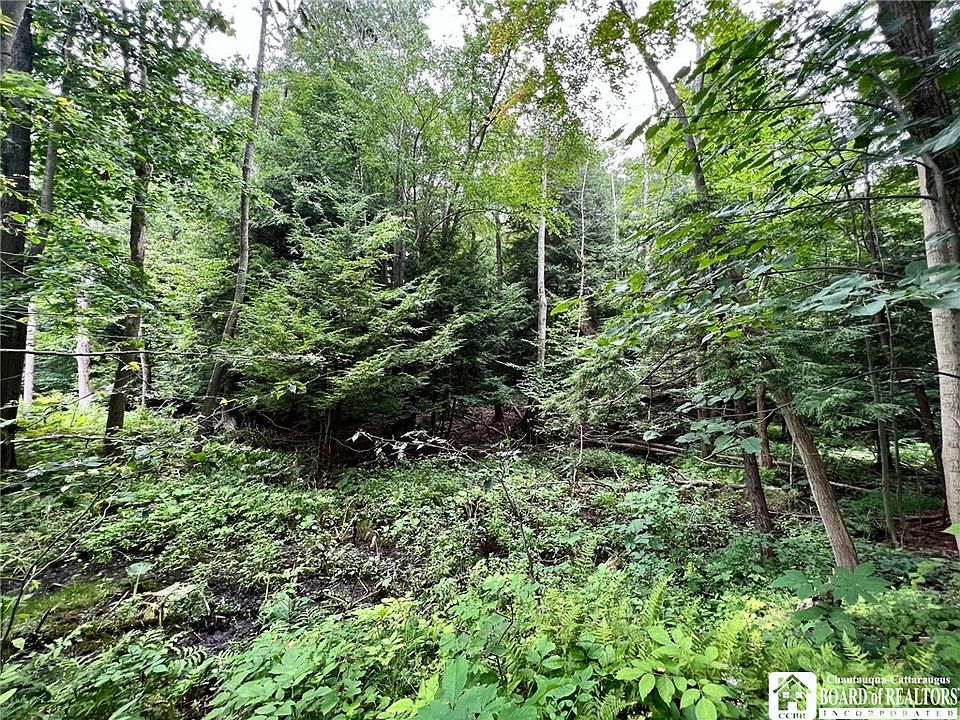 0 Route 430, Sherman, NY 14781 Zillow