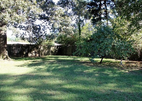 4th image of 806 Drew Ln