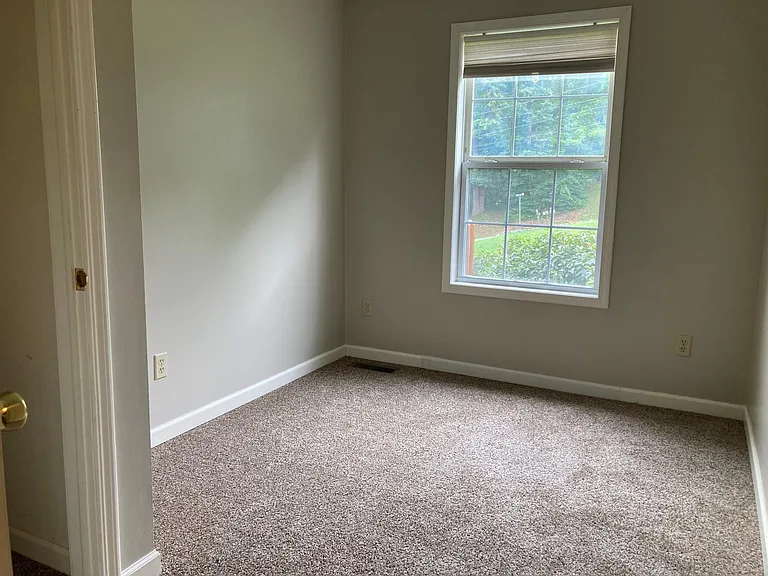 206 Spring Vine Dr — Photo 12