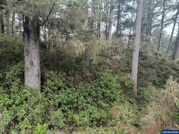 Cape Kiwanda Dr, Pacific City, OR 97135