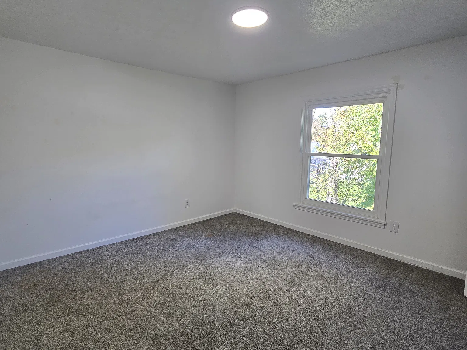 2 bed, $1,600 — Photo 4
