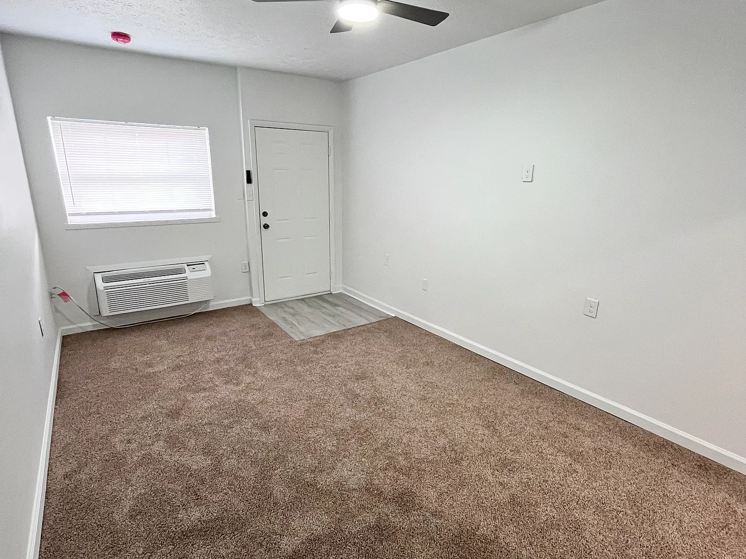 1 bed, 350 sqft, $875 — Photo 2