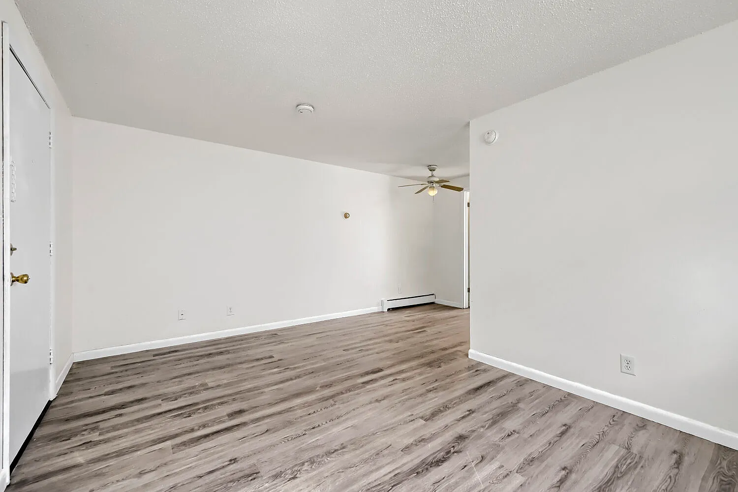 1613 Kimbark St — Photo 4